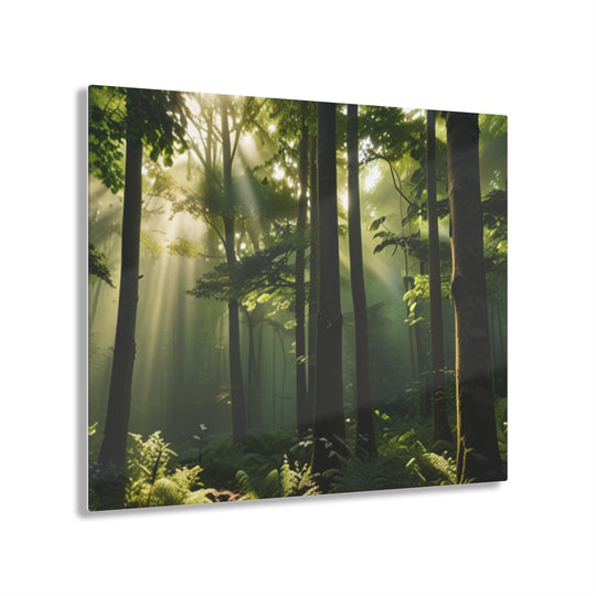 🌳 Sunlit Forest Canopy Art: Nature's Serenity in Every Brushstroke 🌞 - Creative Canvas Corner