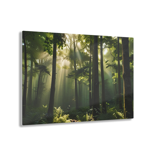 🌳 Sunlit Forest Canopy Art: Nature's Serenity in Every Brushstroke 🌞 - Creative Canvas Corner