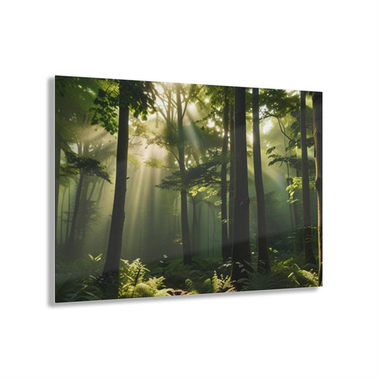 🌳 Sunlit Forest Canopy Art: Nature's Serenity in Every Brushstroke 🌞 - Creative Canvas Corner