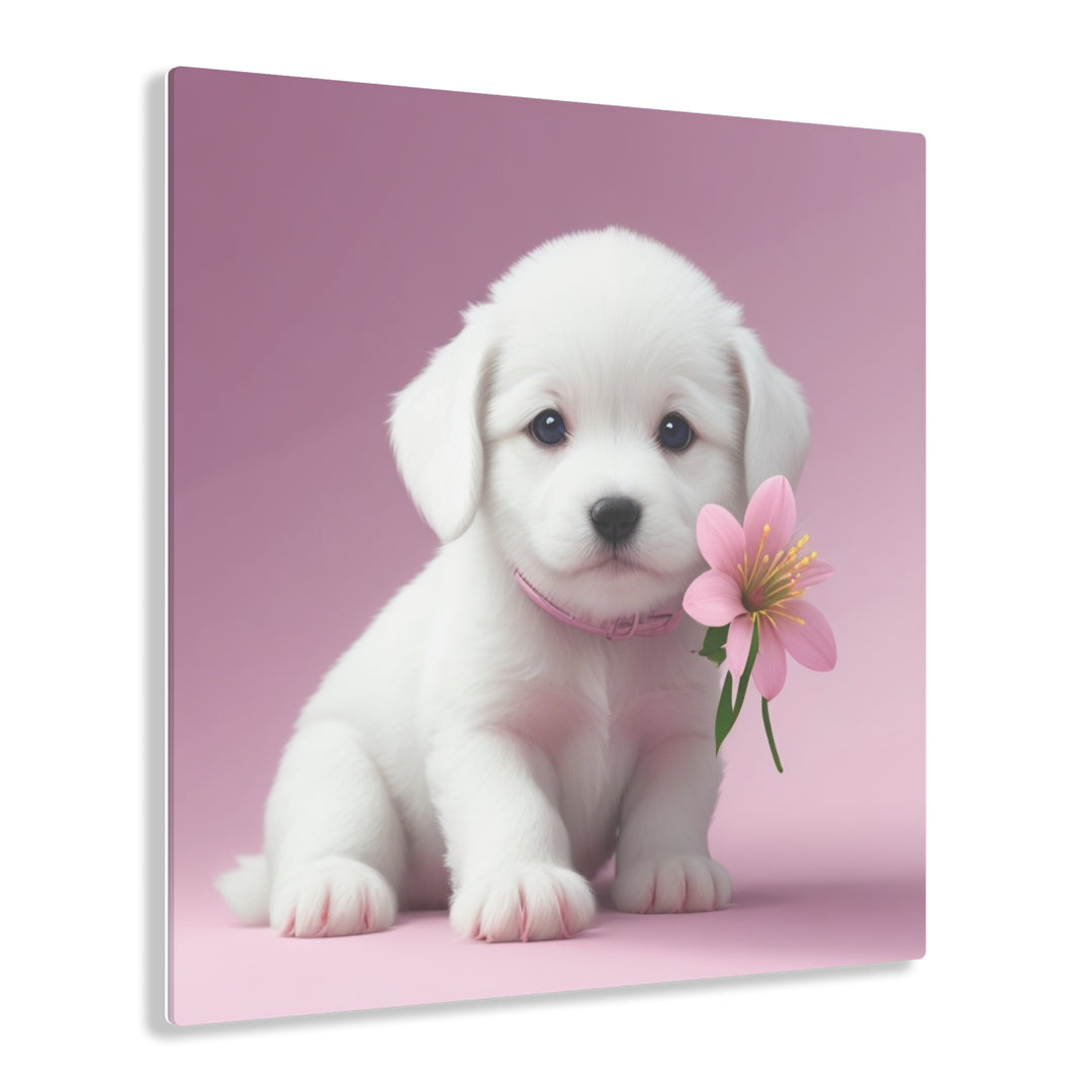 🌸 Pawsitively Adorable: White Puppy with a Pink Background 🐾 - Creative Canvas Corner