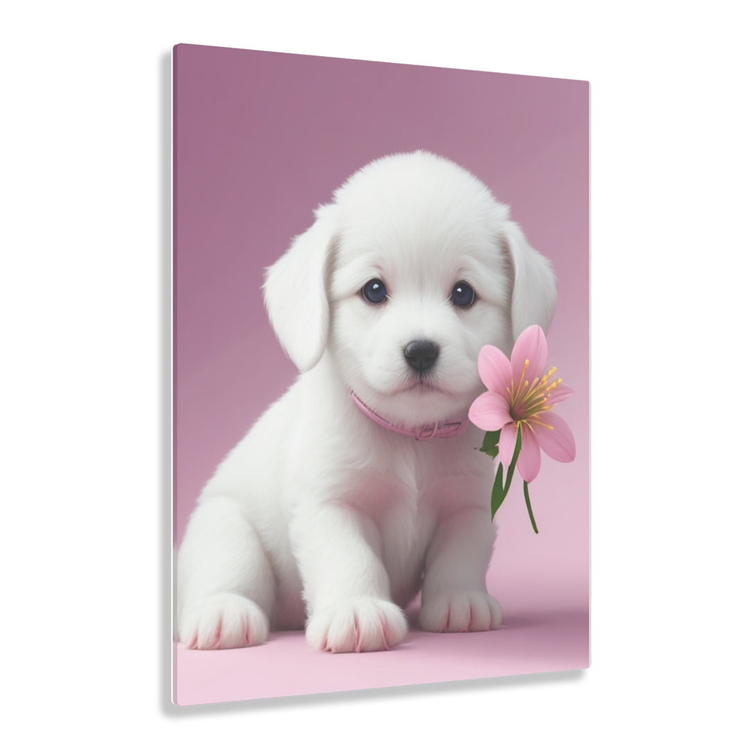 🌸 Pawsitively Adorable: White Puppy with a Pink Background 🐾 - Creative Canvas Corner