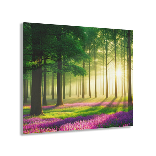 Beautiful sun rays in forest on trees and flowers - Creative Canvas Corner