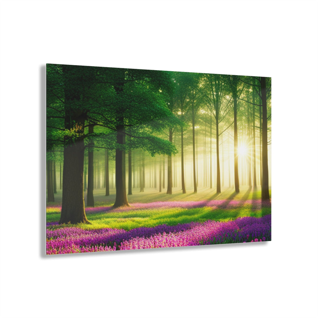 Beautiful sun rays in forest on trees and flowers - Creative Canvas Corner