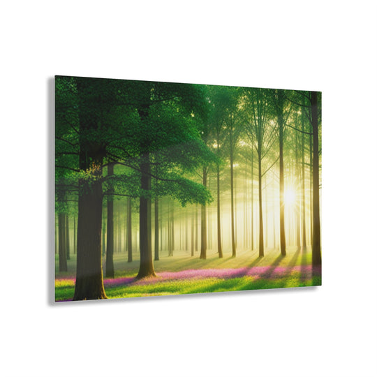 Beautiful sun rays in forest on trees and flowers - Creative Canvas Corner