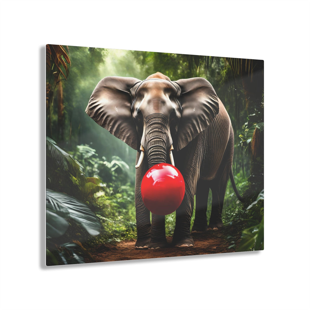 Elephant Playing with Ball in Jungle Acrylic Photo Prints for Home Decor - Creative Canvas Corner