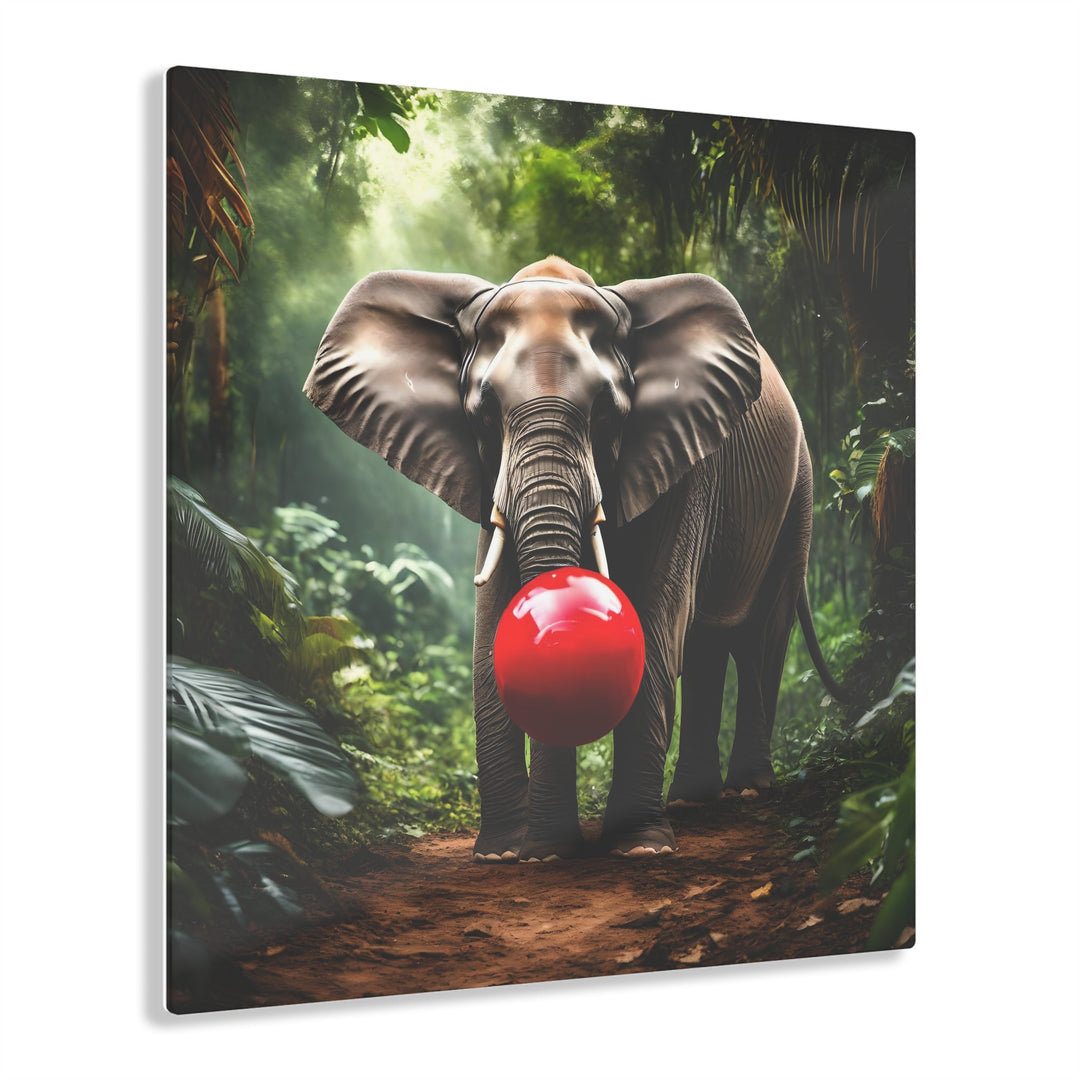 Elephant Playing with Ball in Jungle Acrylic Photo Prints for Home Decor - Creative Canvas Corner