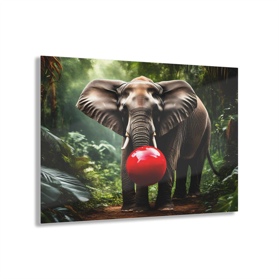 Elephant Playing with Ball in Jungle Acrylic Photo Prints for Home Decor - Creative Canvas Corner